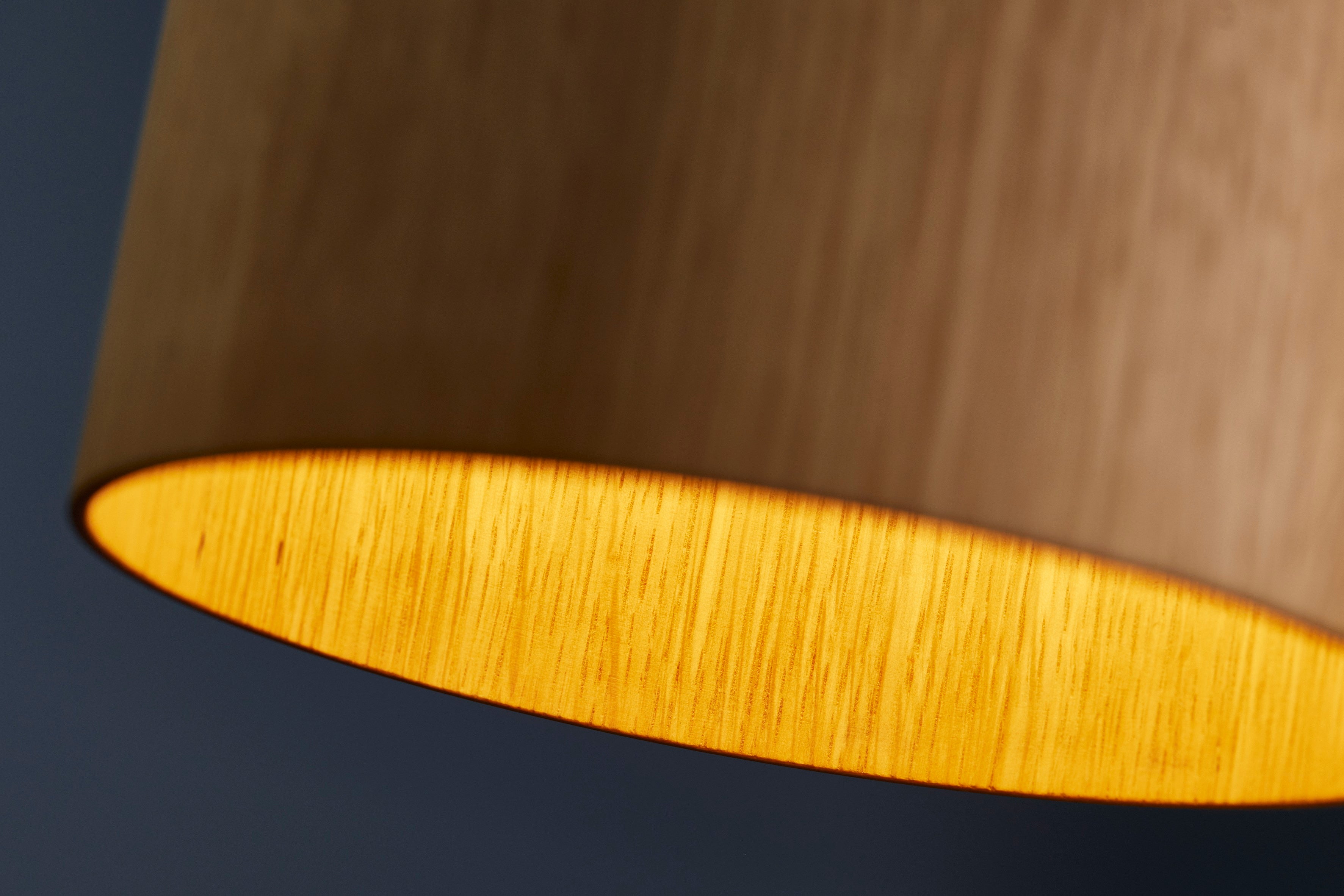 FM 1954 egetræ close-up