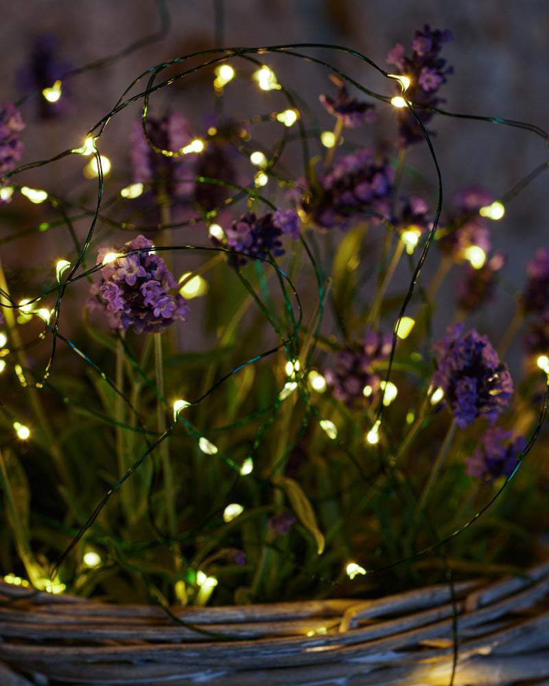 Knirke Lyskæde 3.90m 40xLED Klar/Grøn
