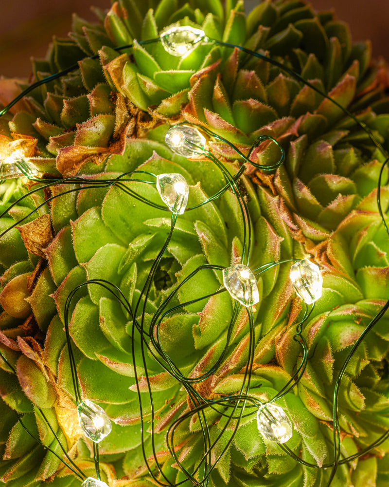 Maggie Lyskæde 3.90m 40xLED Klar/Grøn