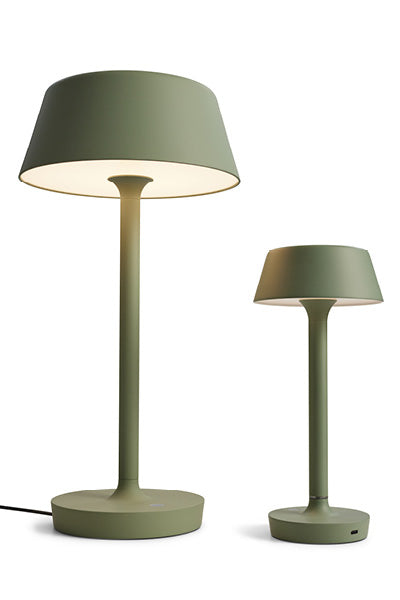 Companion Big T2 - Mat Grøn