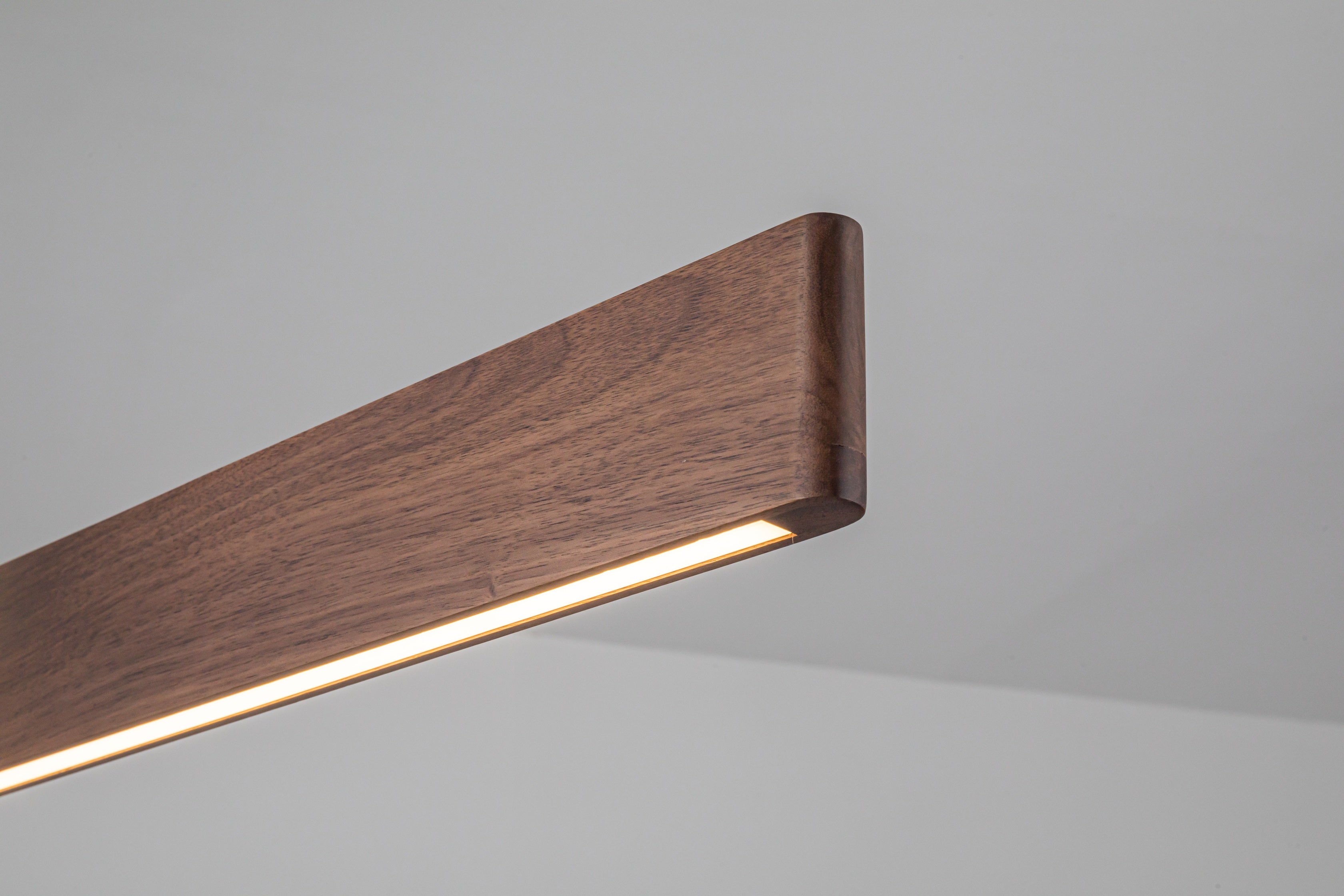 Flora i valnød close-up