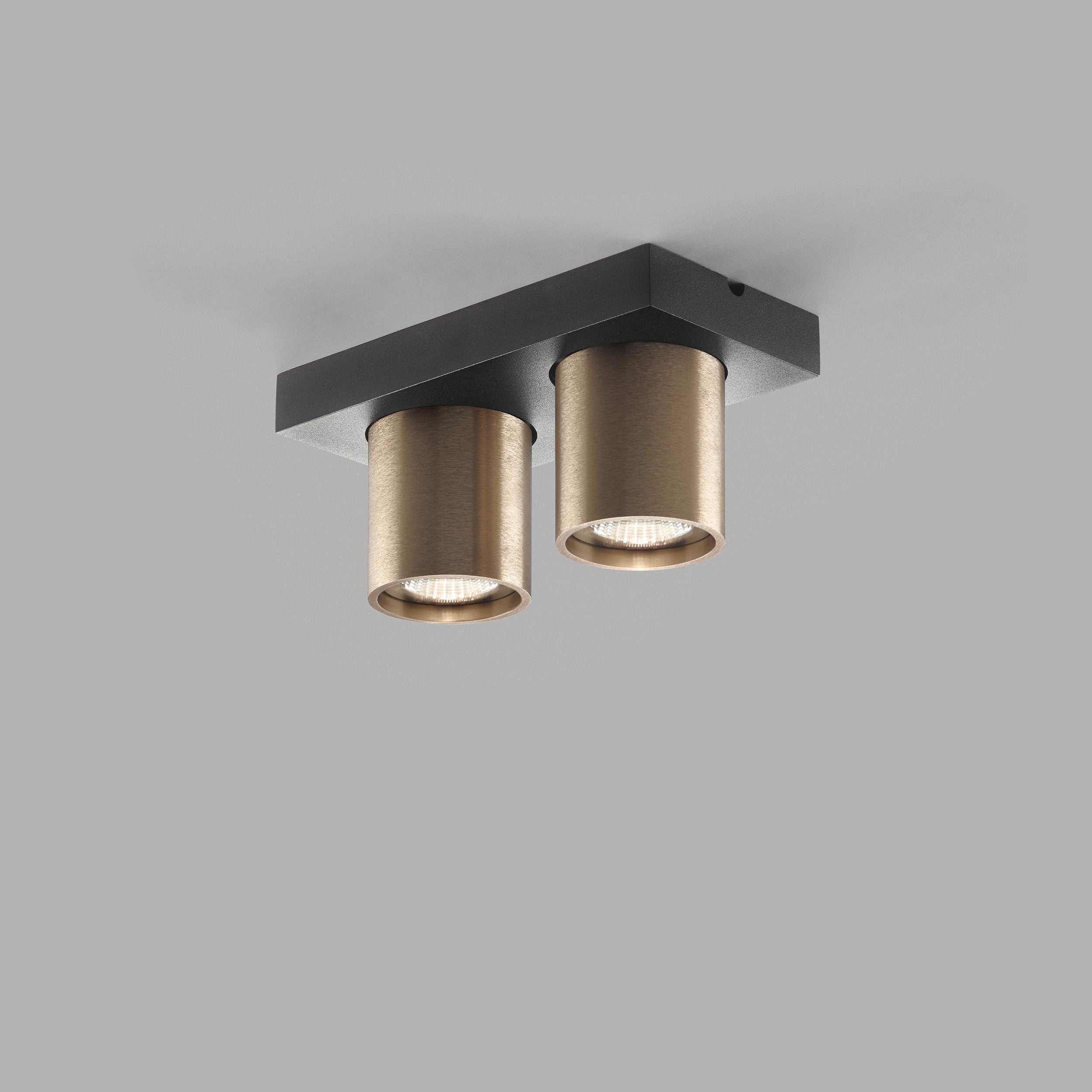 Focus Mini 2 3000K Rose Gold