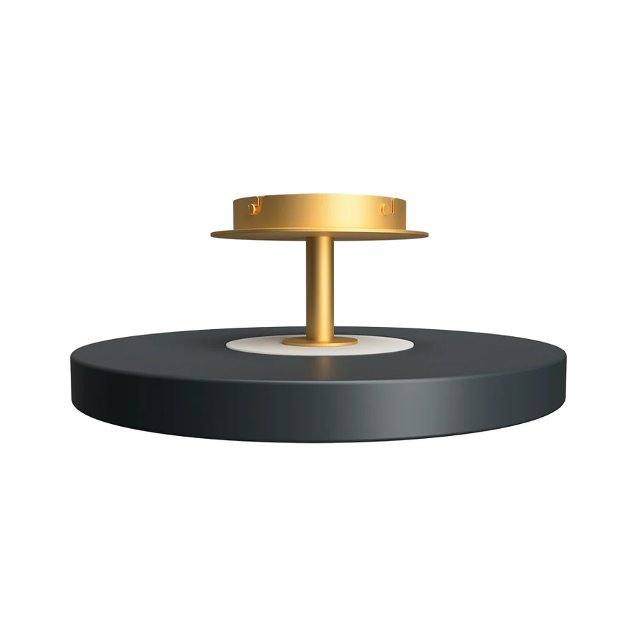 UMAGE Asteria Up Medium Ø43 Antracit Grå - Loftslampe