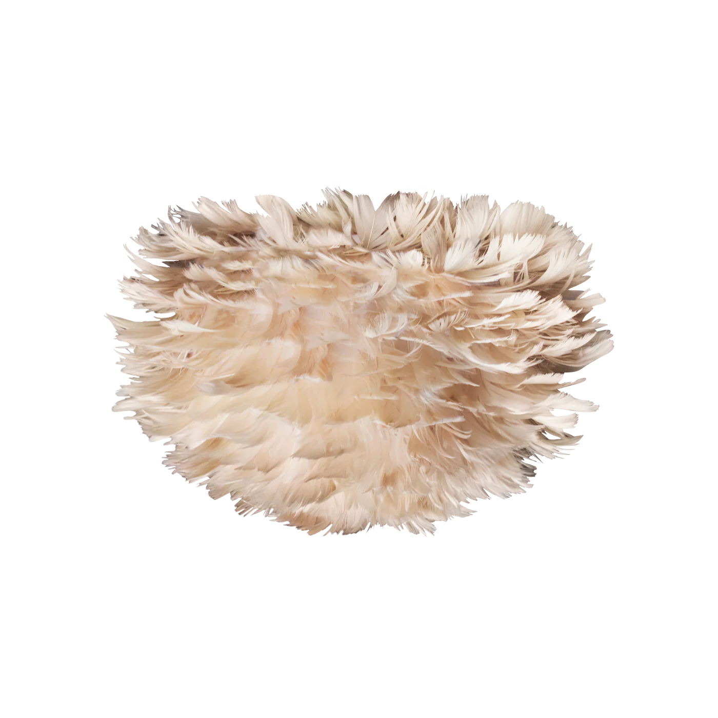 Eos Micro Ø22 Lysebrun