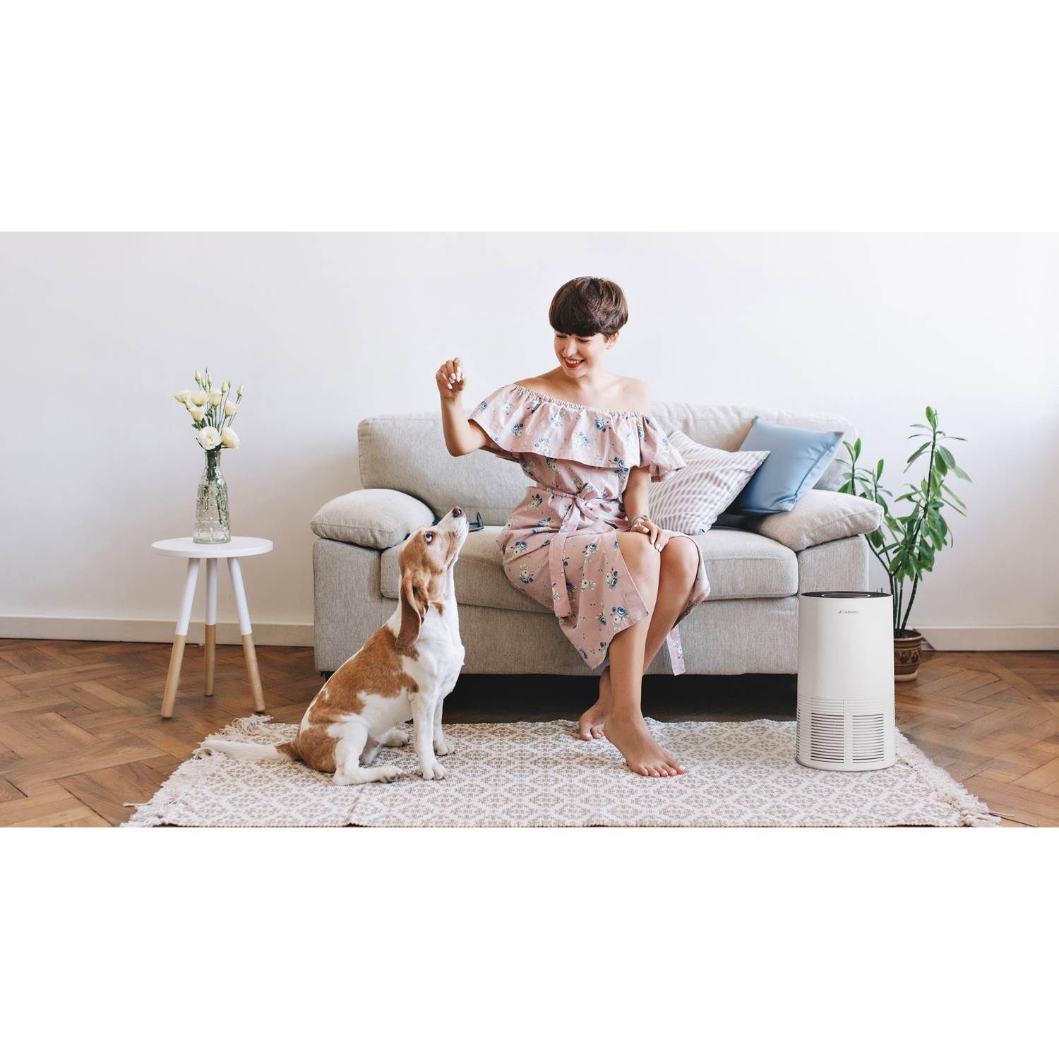 Canvac CLR6420V Luftrenser / -fornyer i stuen