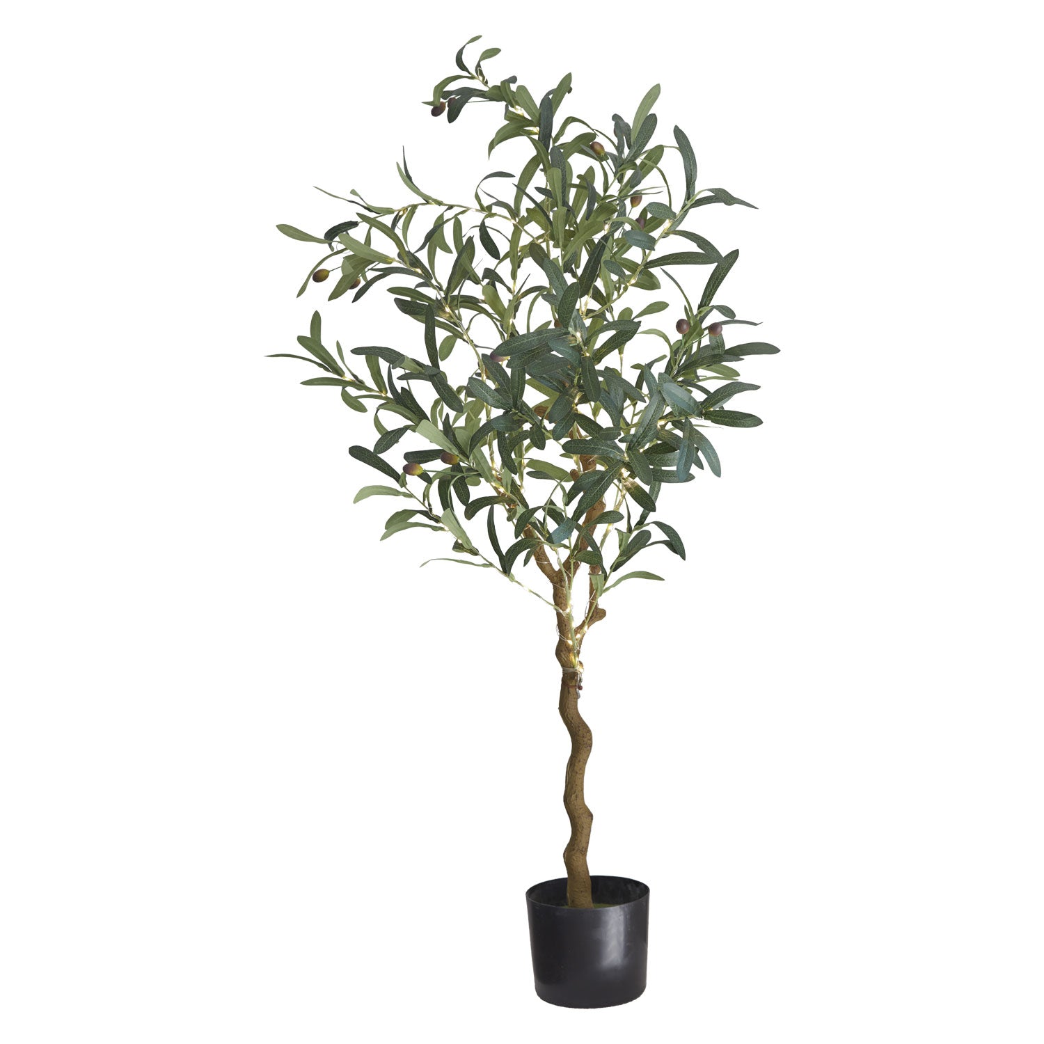 Oliva Oliventræ 120 LED