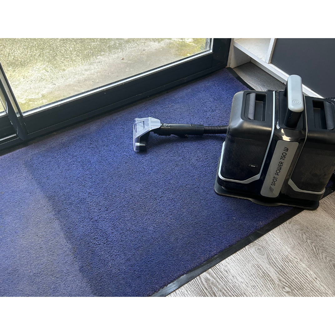 8807 Spot Power 750W tæpperenser tager både pletter og udendørssnask