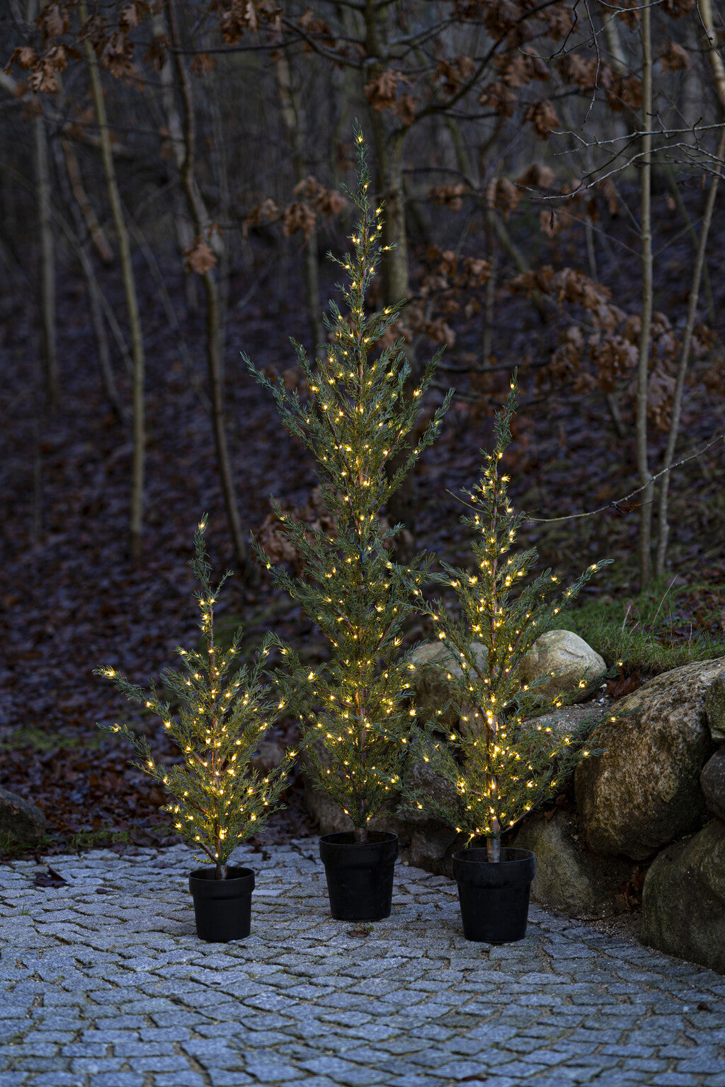 Milas Cedertræ H190 julebelysning med varianter i haven