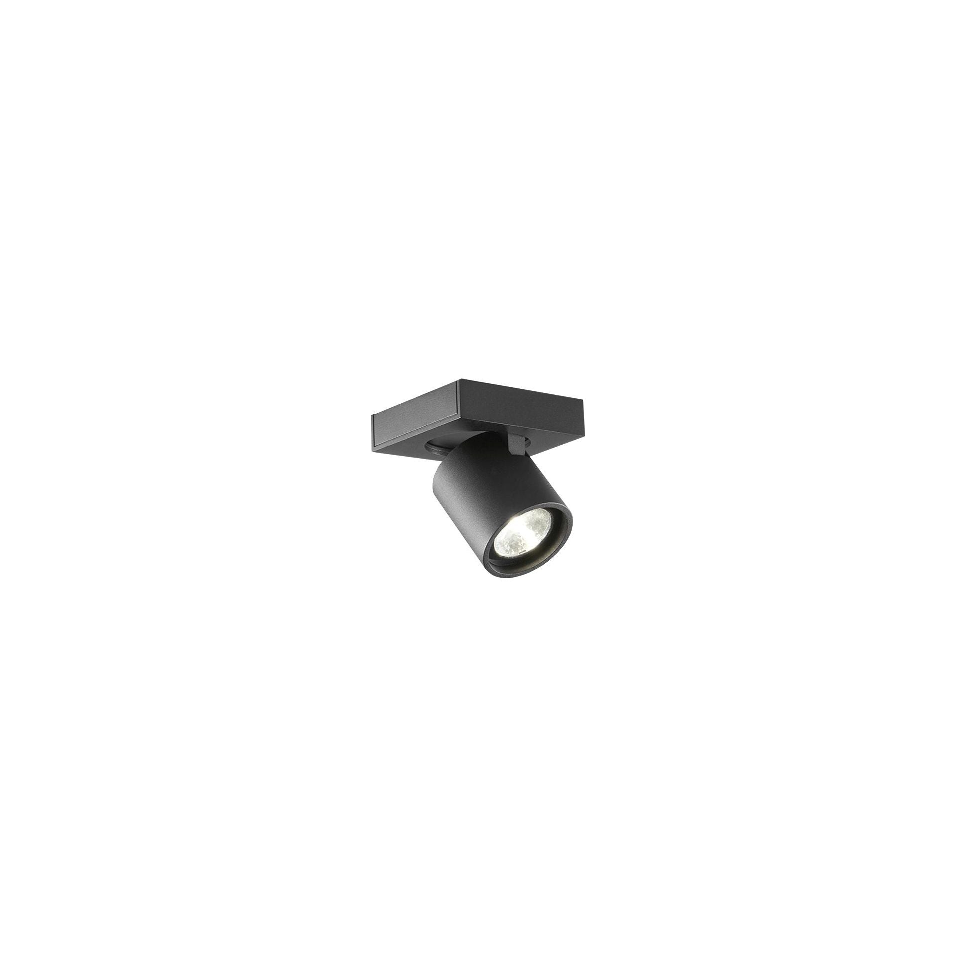 Light-Point sort FOCUS 1 2700K