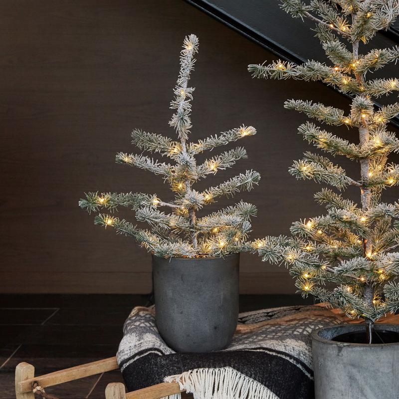 Den æstetiske Alfred Træ 0,6m 30 LED i Grøn/Sne placeret i stuen for dens behagelige belysning