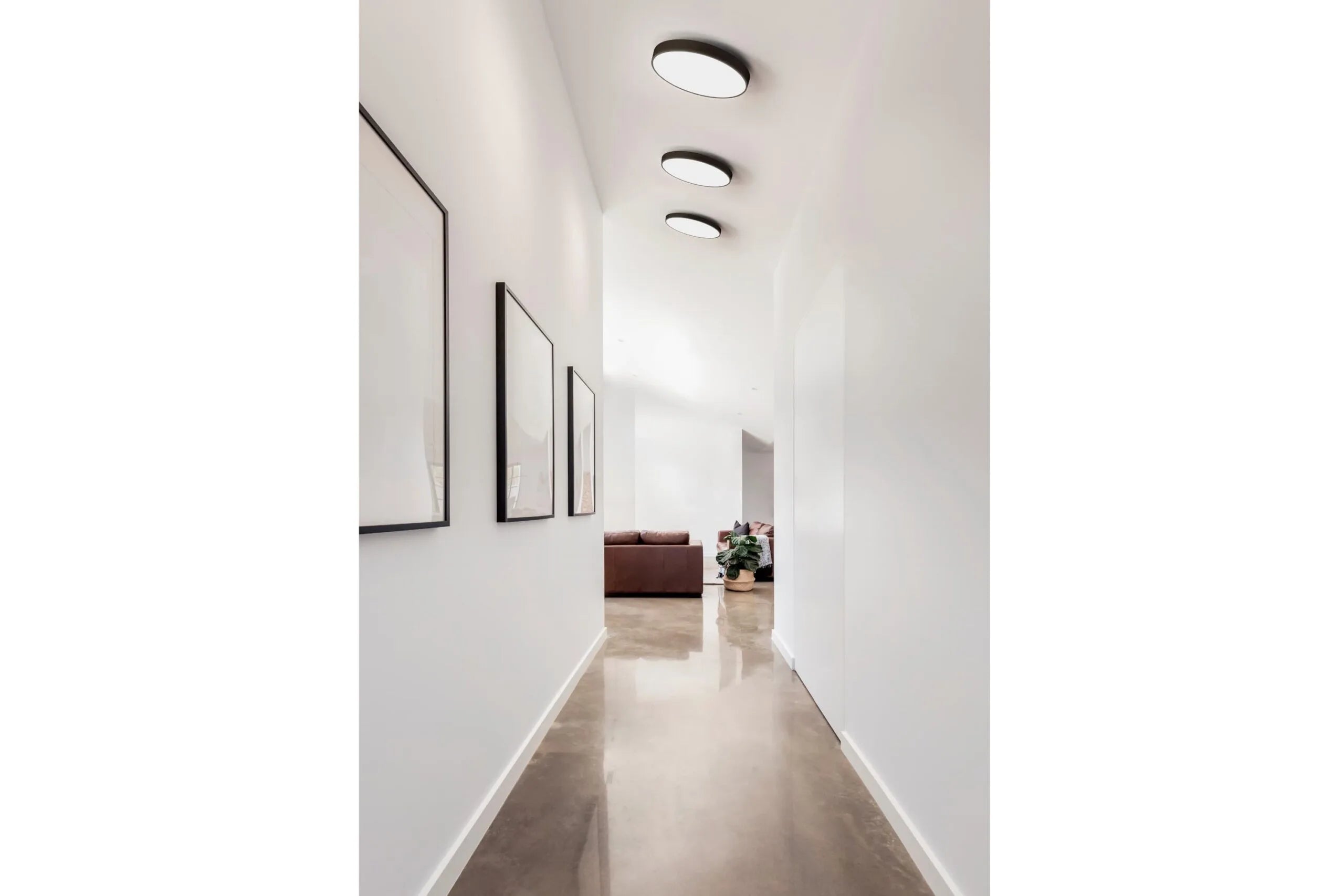 Den æstetiske Luna C450 Plafond LED DALI 3000K i Sort hængt op i stue gangen for dens behagelige belysning