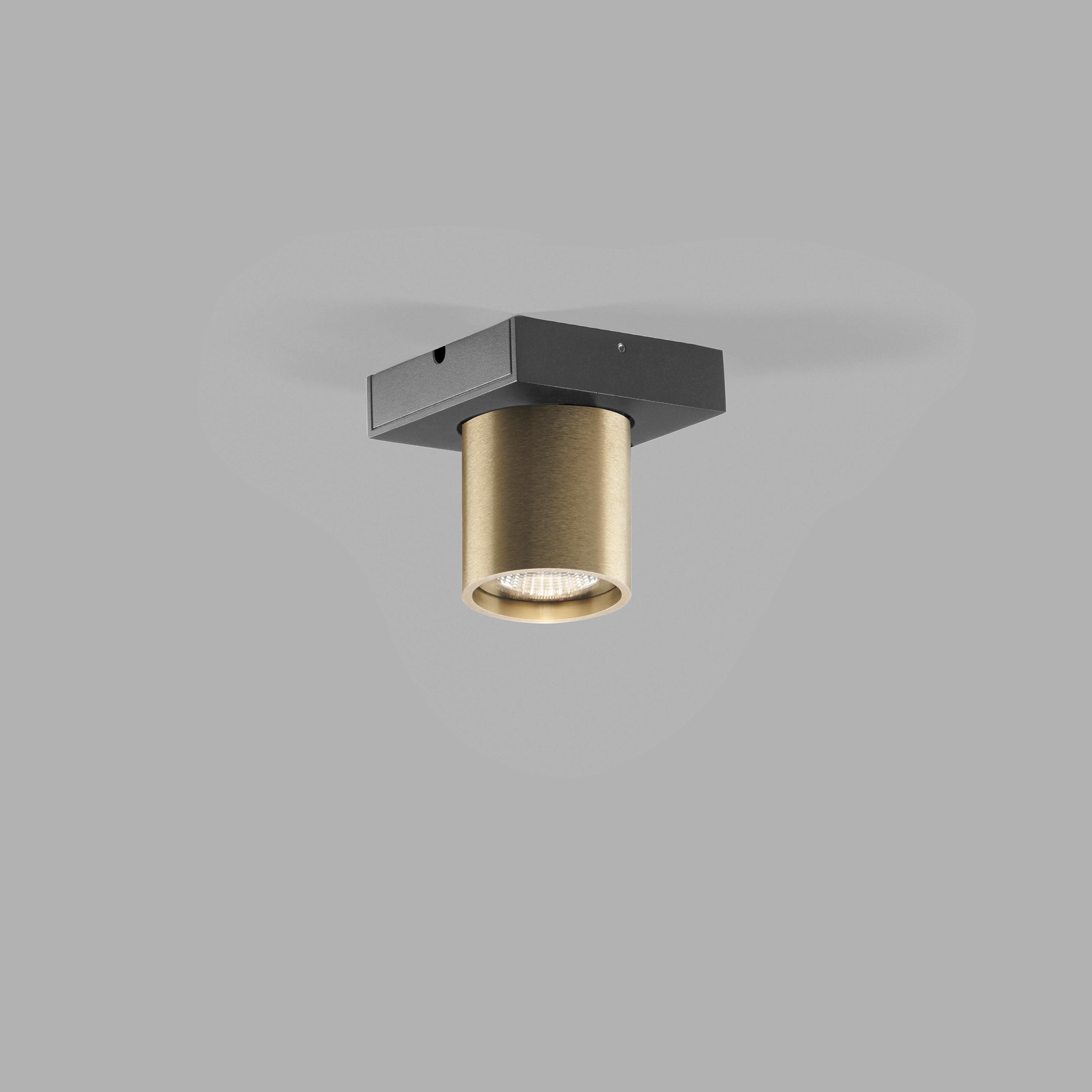 Focus Mini 1 2700K Messing