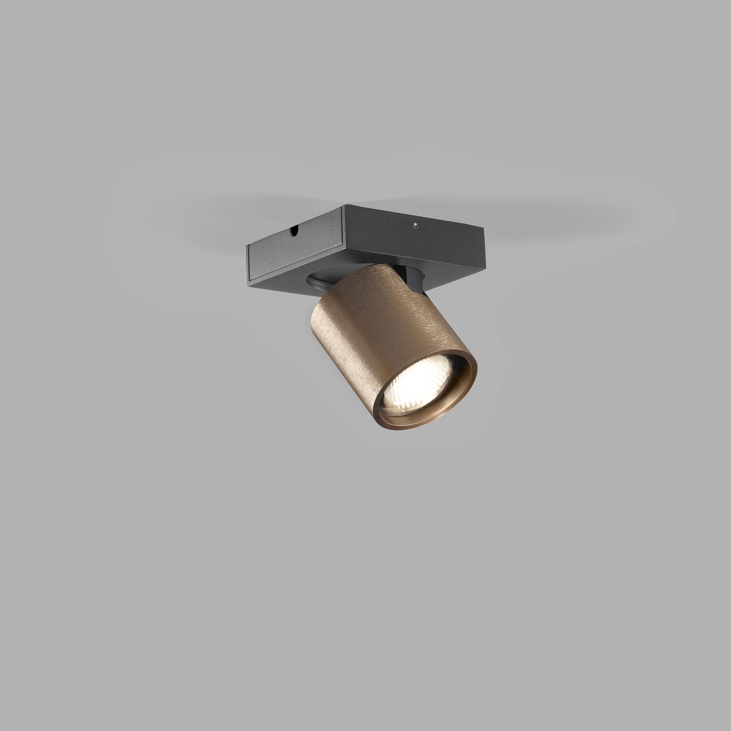 Focus Mini 1 2700K Rose Gold