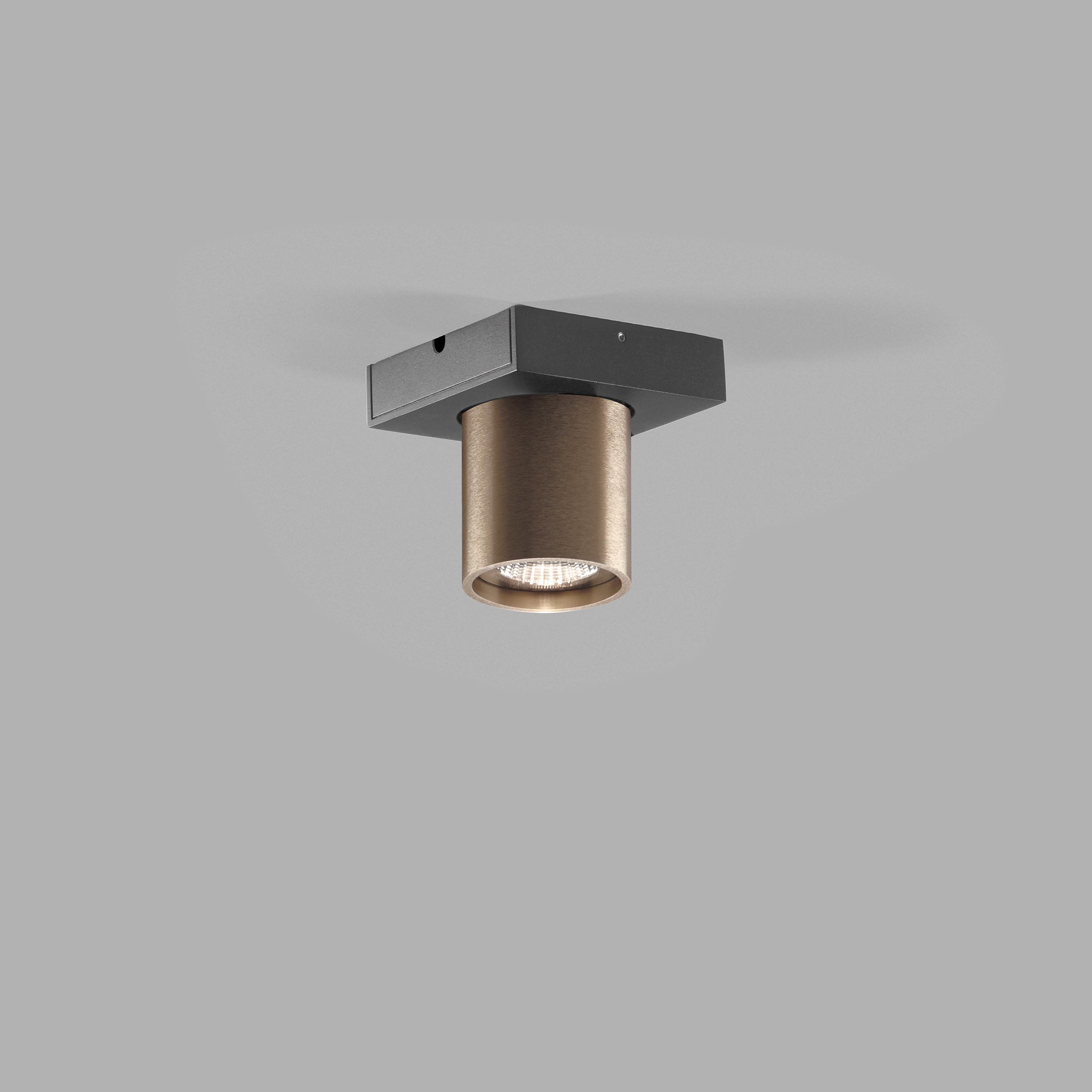 Focus Mini 1 2700K Rose Gold