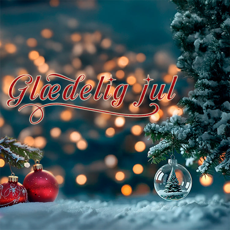 Julebanner froside Web 2025