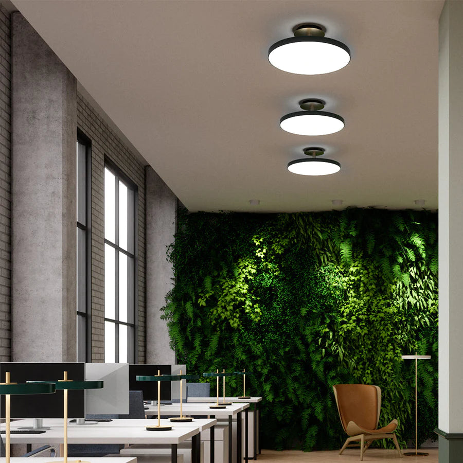 UMAGE Asteria Up Large Ø60 Sort - Loftslampe