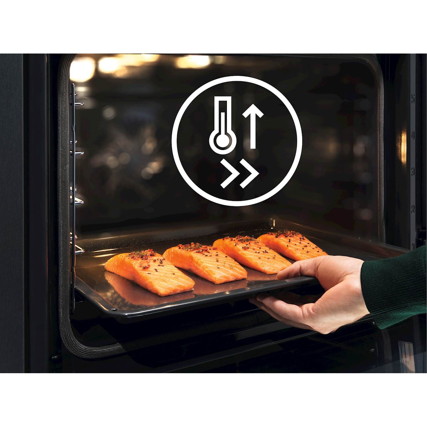 4 stykker laks i Electrolux ovn til indbygning