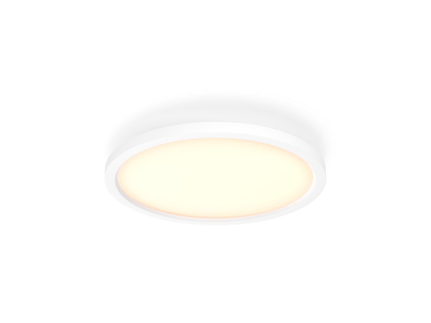 Philips Hue Aurelle Loft Lampe Ø40 21W 2450lm v.4000K WA