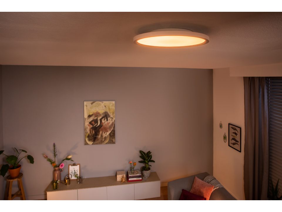 Philips Hue Aurelle Loft Lampe Ø40 21W 2450lm v.4000K WA