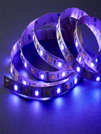 LED RGB/CCT Strip 2000K-6500K 250-320 Lumen - Nielsen Light