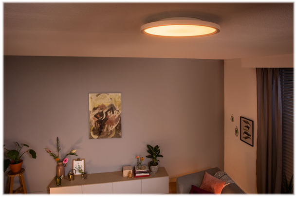Philips Hue Aurelle Loft Lampe Ø40 21W 2450lm v.4000K WA