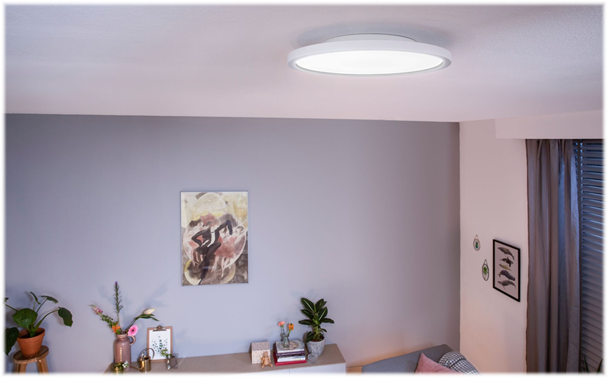 Philips Hue Aurelle Loft Lampe Ø40 21W 2450lm v.4000K WA