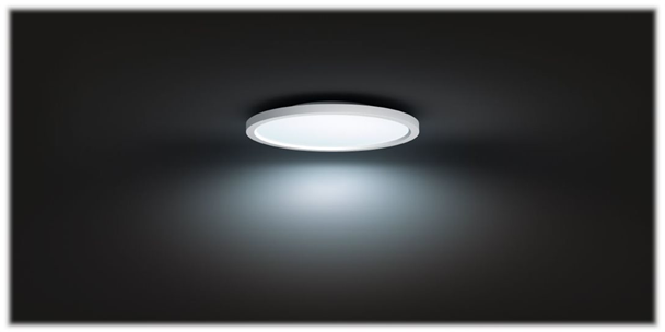 Philips Hue Aurelle Loft Lampe Ø40 21W 2450lm v.4000K WA