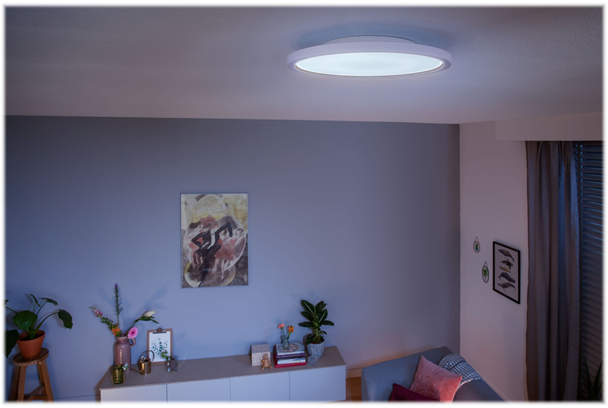 Philips Hue Aurelle Loft Lampe Ø40 21W 2450lm v.4000K WA