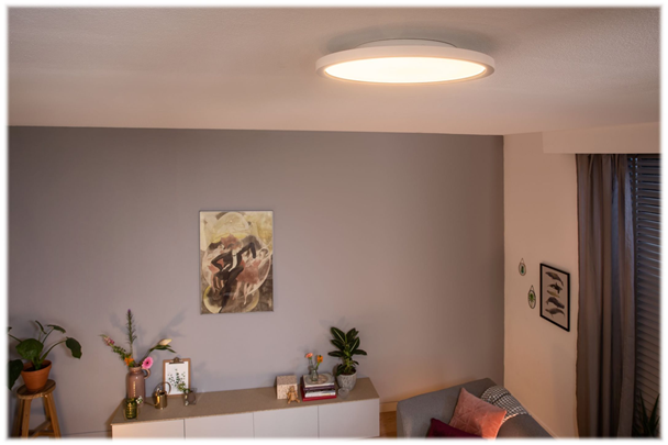 Philips Hue Aurelle Loft Lampe Ø40 21W 2450lm v.4000K WA
